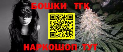 индика Обнинск
