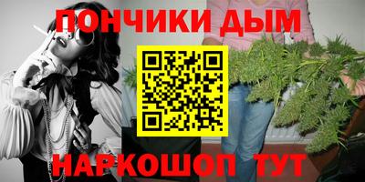 индика Обнинск